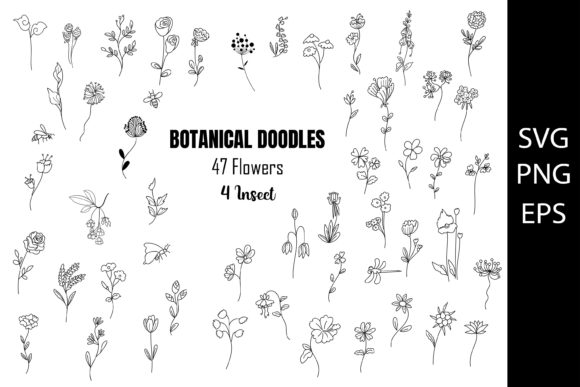 Download Botanica Doodles, Hand Drawn of Flowers - Flower Collection