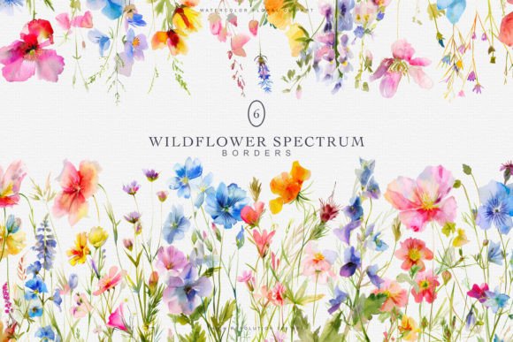 Download Watercolor Colorful Wildflowers Borders - Flower Collection